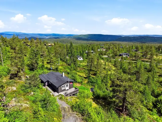 Nipetovegen 19, Lampeland