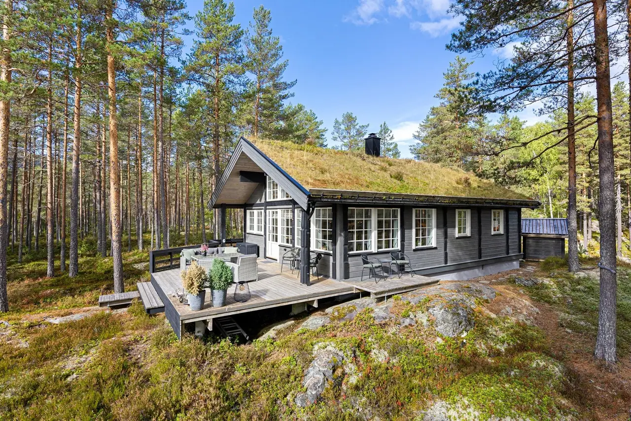 Blefjell Hyttegrend, Hovin i Telemark